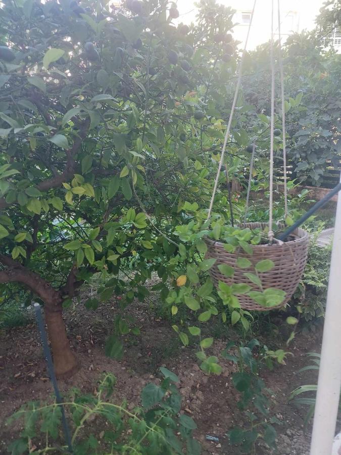 Holiday Apartment Split Zewnętrze zdjęcie
